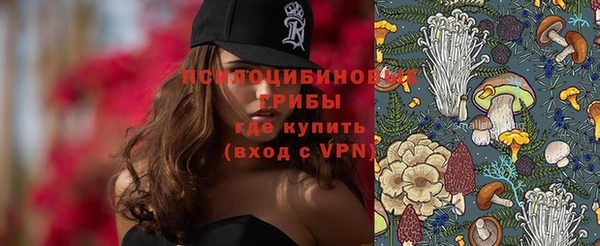 не бодяженный Нязепетровск