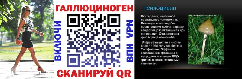 Галлюциногенные грибы GOLDEN TEACHER где найти Туапсе